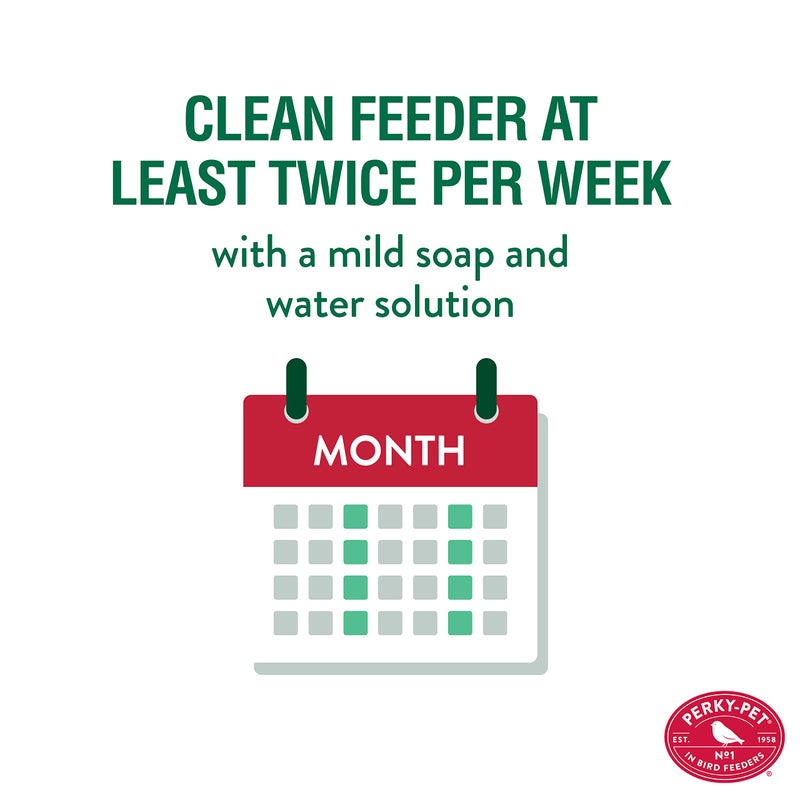 Perky-Pet Antique Glass Bottle Hummingbird Feeder - Outdoor Garden DÃ©cor Hummingbird Feeder - 8107-1SR - 10 Fl Oz Nectar Capacity - Durable Humming bird Feeder for Backyards, Porches, Decks, Hooks - Image 5